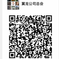 翼龙公司总会